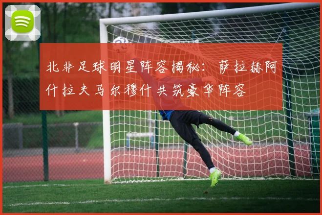 北非足球明星阵容揭秘：萨拉赫阿什拉夫马尔穆什共筑豪华阵容