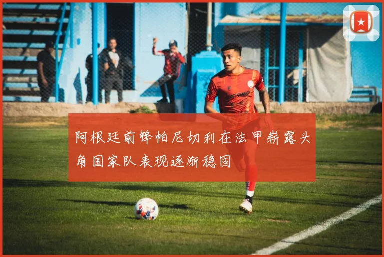 阿根廷前锋帕尼切利在法甲崭露头角国家队表现逐渐稳固