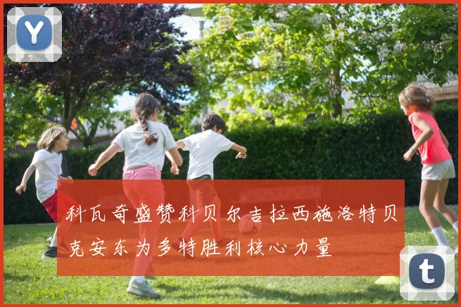 科瓦奇盛赞科贝尔吉拉西施洛特贝克安东为多特胜利核心力量