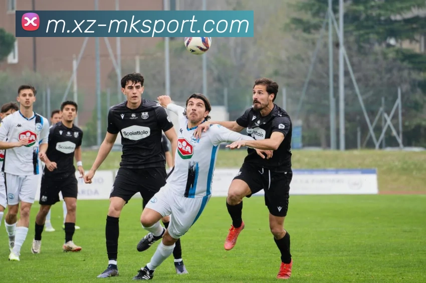 MK体育服务体系